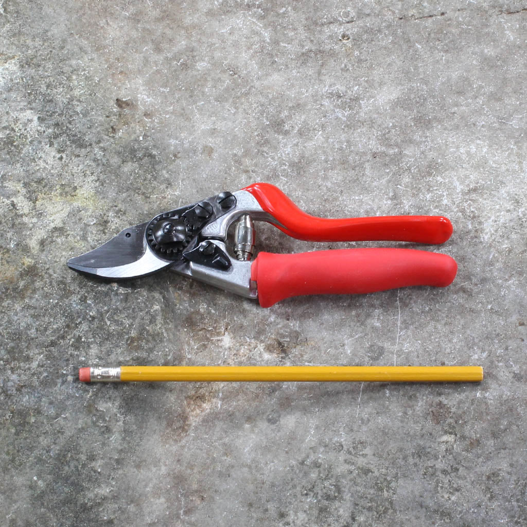 Small Hands Pruning Shears F15 by Felco - size comparison