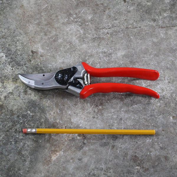 Pruning Shears F2 by Felco - size comparison