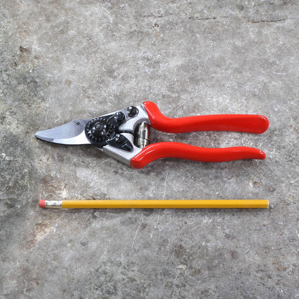 Small Hands Pruning Shears F6 by Felco - size comparison
