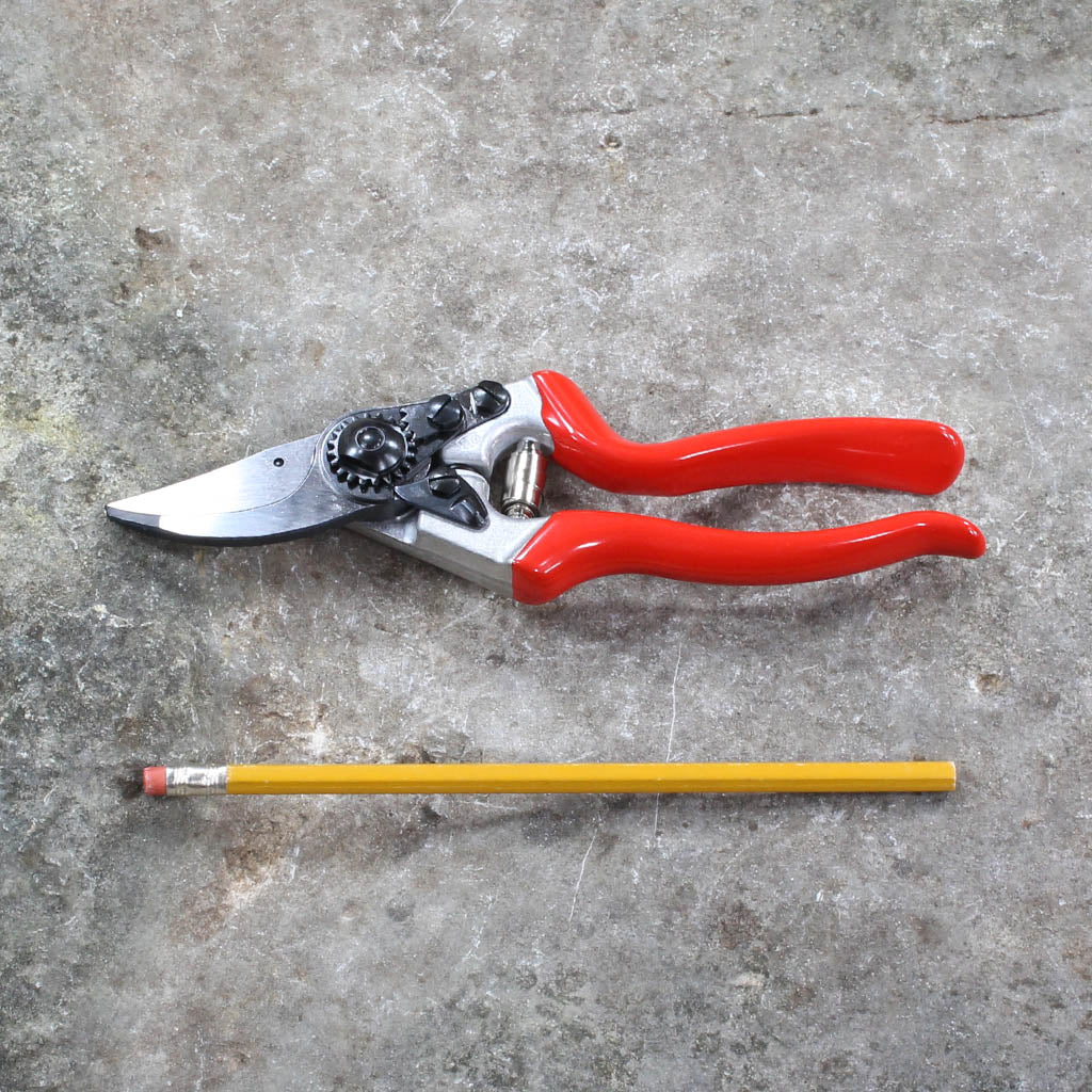 Pruning Shears F8 by Felco - size comparison