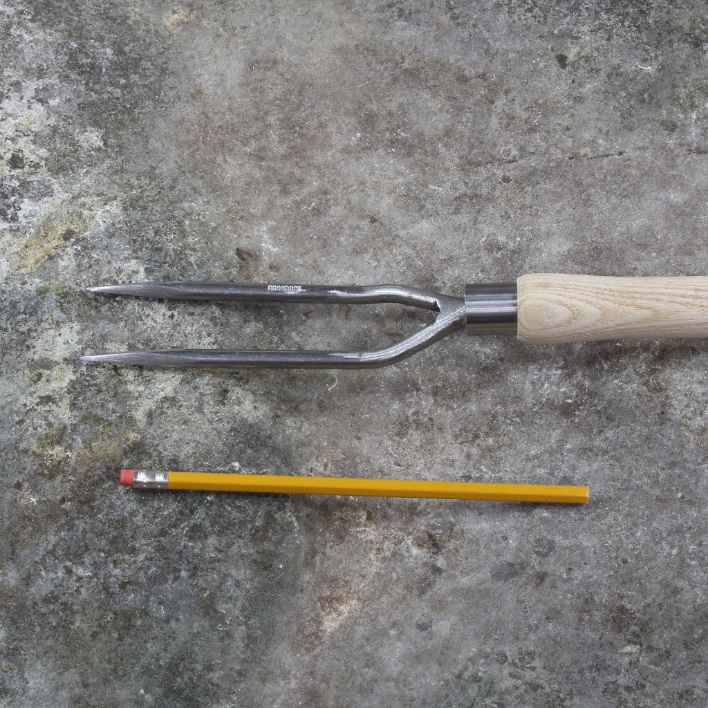 Raised Bed 2-Tine Weeding Fork by Sneeboer - size comparison