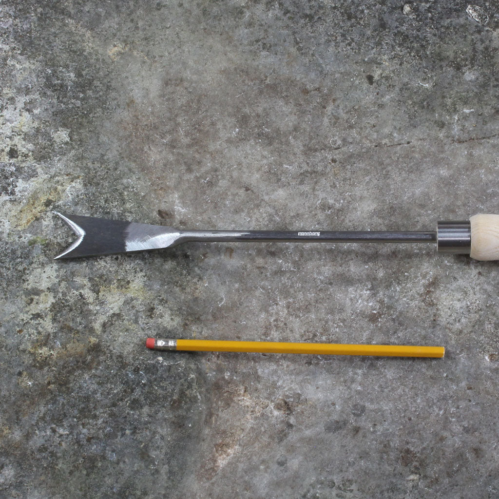 Raised Bed Traditional Dandelion Weeder by Sneeboer - size comparison