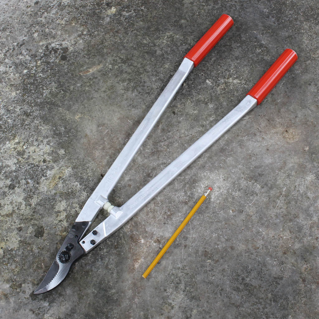 25" Loppers Solid Handle F21 by Felco - size comparison