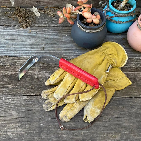 Star Weeder by Wilcox on garden table